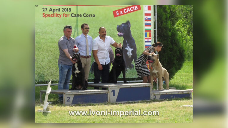 ivoni imperial champions 007