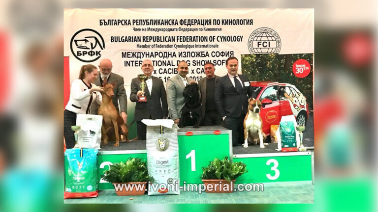 ivoni imperial champions 017