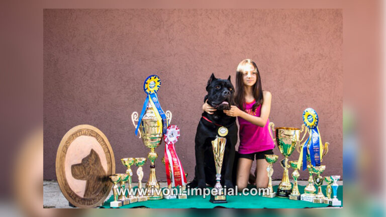 ivoni imperial champions 036