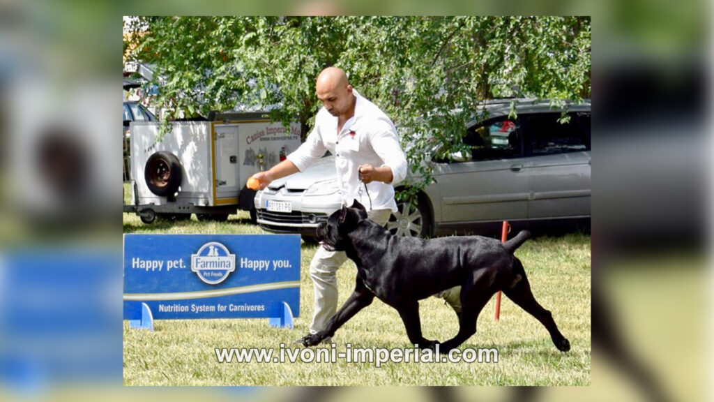 ivoni imperial champions 041