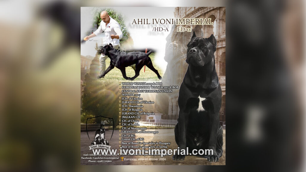 ivoni imperial champions 042