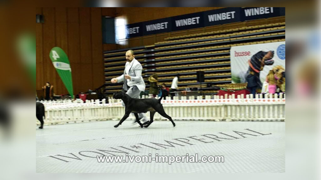 ivoni imperial champions 047