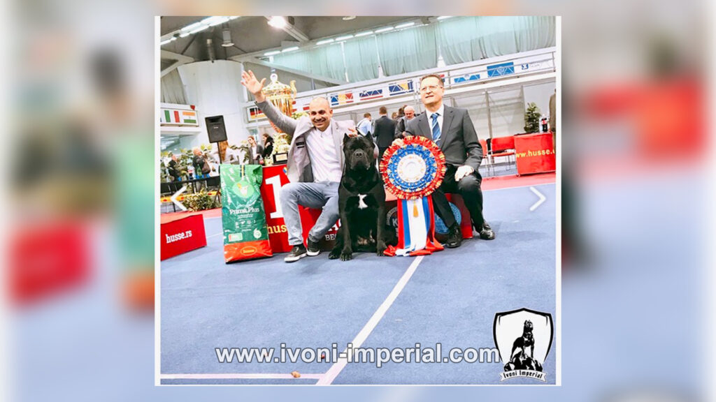 ivoni imperial champions 088