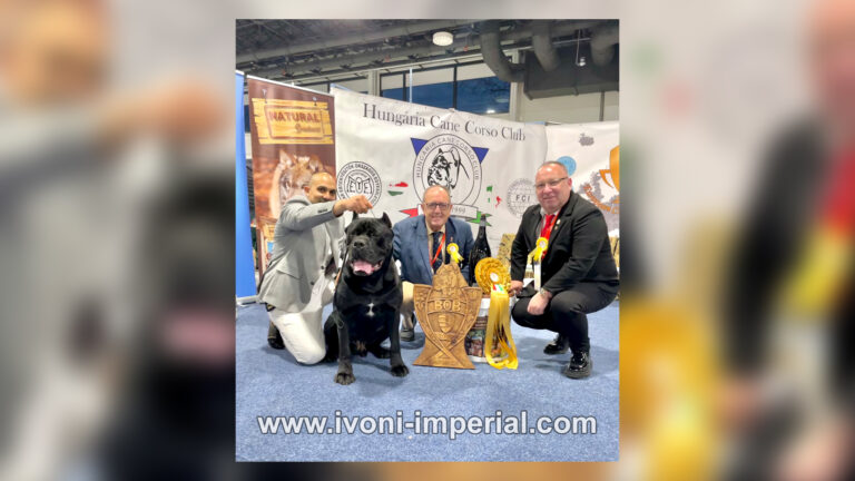 Ivoni Imperial 007 768x432