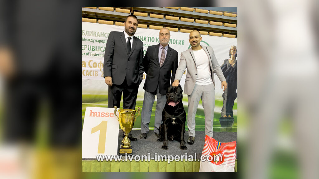 ivoni imperial 072.jpg