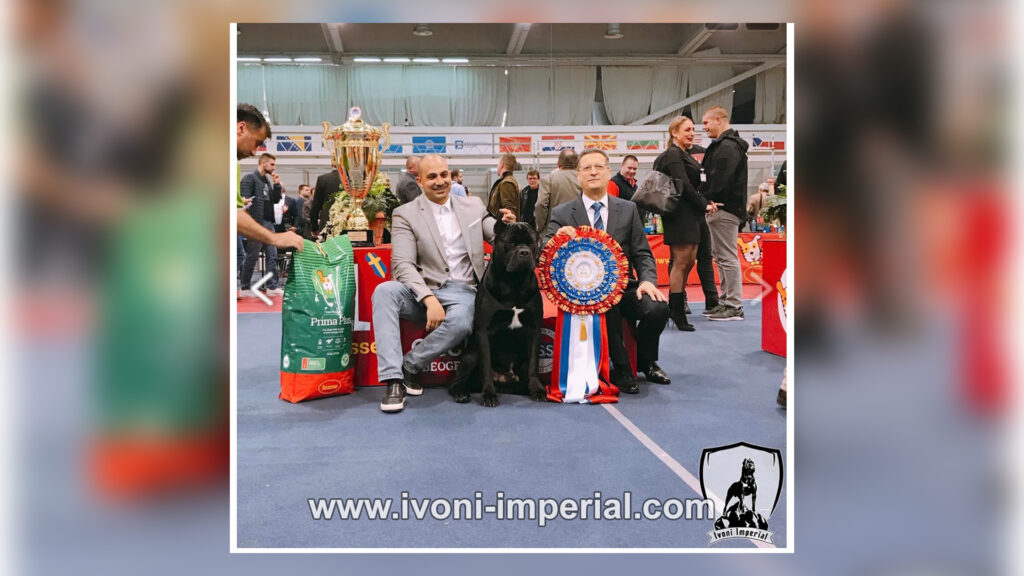 ivoni imperial 083.jpg