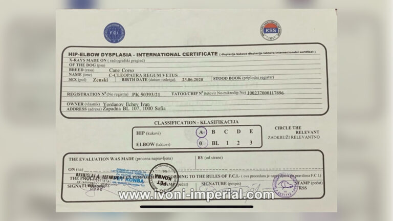 ivoni imperial cert 001