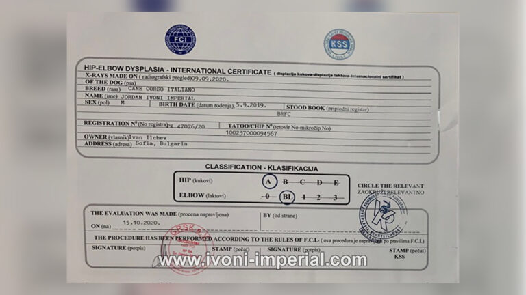 ivoni imperial cert 002