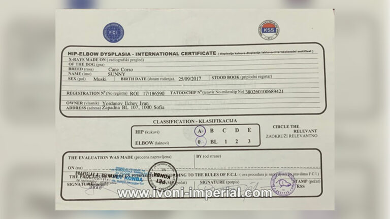 ivoni imperial cert 003