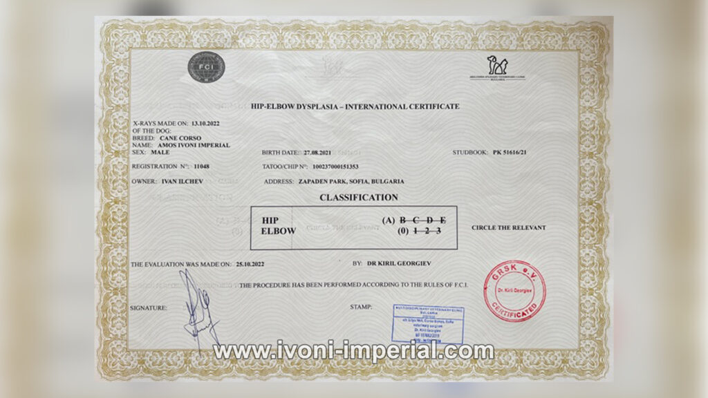 ivoni imperial cert 007